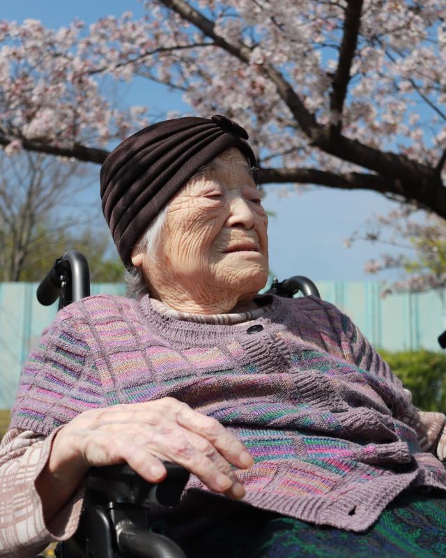 .
少し前のことにはなりますが、毎年恒例のお花見ドライブが行われました🌸

今年はお花見日和の日がたくさんあり、久しぶりの外出で皆様大変喜ばれているご様子でした🌞

引き続き、皆様にハッピーな時間の提供を行っていきたいと思います🌞

#特別養護老人ホーム　#高齢者　#高齢者施設　#介護士　#介護福祉士　#介護施設　#園芸療法　#作業療法士　#理学療法士　#看護師　#ケアマネ　#ケアマネジャー　#家庭菜園　#園芸　#農家　#畑　#滋賀県　#草津市　#琵琶湖　#桜　#花見　#レクリエーション　#ユニットレク