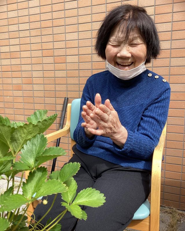 .
デイサービスの一角で育てていたいちごが収穫の時期を迎え、収穫作業を行いました🍓

個体差があり「あまいあまい」との声もあれば「ちょっと酸っぱいわあ」との声もありましたが、８割くらいは甘いいちごになっていたようです🐤

それよりも、久しぶりのいちご狩りに皆様とても喜ばれた様子で、笑顔の花がたくさん咲いていました🌸

#滋賀県#草津市#デイサービス#高齢者#施設#園芸#園芸療法#介護士#介護福祉士#園芸療法士#作業療法士#理学療法士#リハビリ#ケアマネ