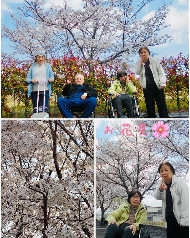 いつもいいねありがとうございます😊

お天気の良い日☀️に、なぎさの近所にある桜🌸のきれいなところまで入居者様と一緒にお出かけしました。

今がちょうど満開🌸で、「これはきれいに咲いてますね」「良いときに連れて来て貰えて良かったわ」とみなさま笑顔😊でお花見を満喫されました♪

「去年も来たけど今年も来れて良かったわ。」「来年もまた一緒に行こうね」と去年の事を思い出し懐かしんでいる方もおられました。👍

満開の桜🌸の下で、ゆっくりと春を感じることができました♪
これからも天気の良い日を見て訪れたいと思います。

#草津市
#お花見
#桜
#春
#グループホーム
#デイサービスセンター
#介護福祉士
#介護職
#看護師
#お出かけ