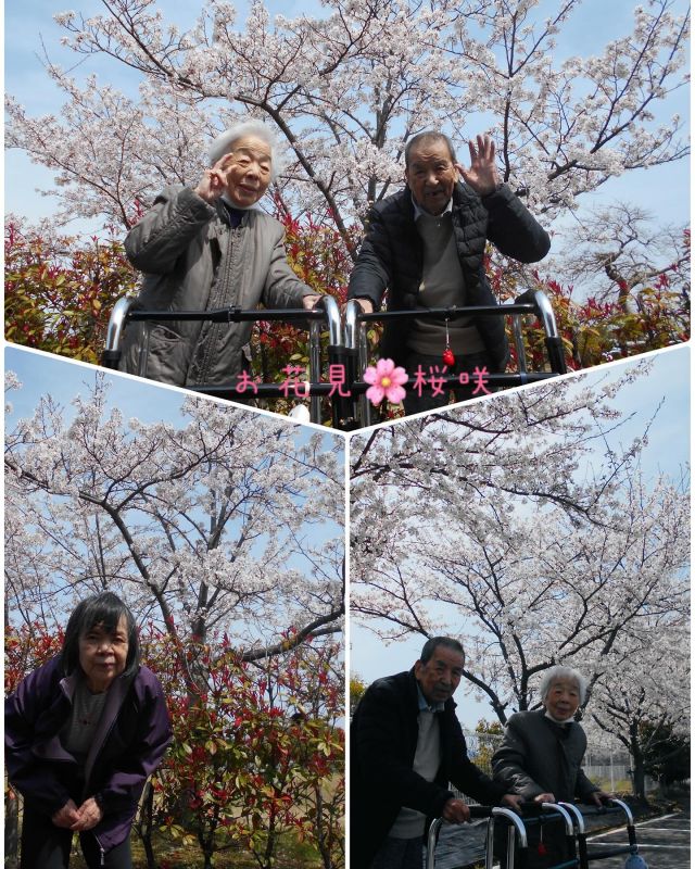 グループホームなぎさ🏠です。^_^

この日も天候にも恵まれ花見🌸日和‼️
綺麗な桜を見る事ができました😁

少し風が吹くと桜🌸が舞い散り、風情溢れる光景となっていました✨

#桜
#草津市
#グループホーム
#デイサービスセンター
#介護
#行事
#介護福祉士
#セラピスト