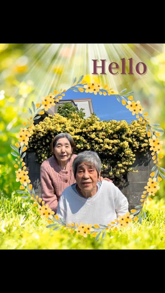 みなさまこんにちは！いつもイイねフォローありがとうございます☀️

えんゆうの郷のご近所さんのモッコウバラが満開を迎えました🌟

1年に1回綺麗な黄色のお花を観るのと、バラのいい香りとをみなさん楽しみにされています😆

この季節、えんゆうの郷の散歩コースとしても人気です🤙🤙

また来年も一緒に観に来ましょうね👍

#特別養護老人ホーム #社会福祉士 #介護福祉士 #ケアマネジャー #管理栄養士 #理学療法士 #看護師 #生活相談員 #草津市 #おでかけ #花見 #モッコウバラ