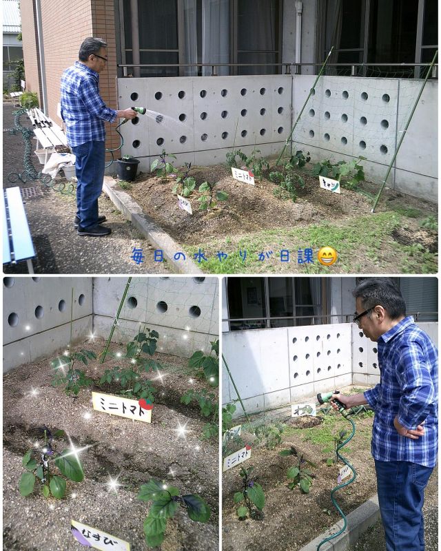いつもいいねありがとうございます。😁
グループホームなぎさ🏠です。

なぎさ農園に植えた野菜🫛🥬たちの水やりが日々の日課となっています♪

大きく育ちますように✨☀️‼️

#草津市
#夏野菜
#畑
#農園
#グループホーム
#介護福祉士
