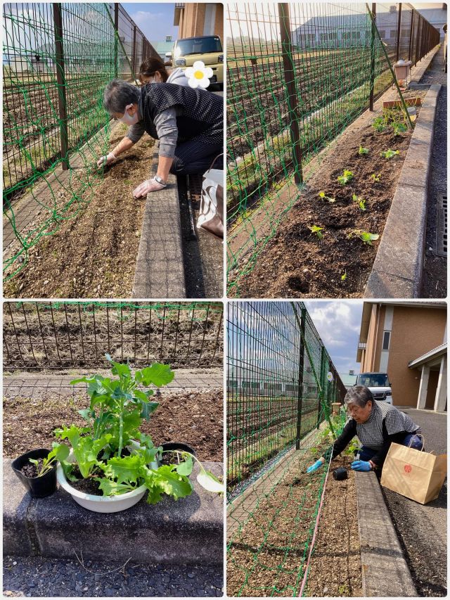 いつもいいねありがとうございます😊
デイサービスセンターなぎさ🐧です。

先日よりご利用者から頂いた野菜の苗🌱を植えました♪
まずは土を耕やし土台作りからご利用者と一緒に行いました。
日頃自宅でもされているため、手慣れた手つきでされています😁
“レタス🥬茄子🍆ミニトマト🍅と彩り野菜たち”

早速大きく育った♪レタス🥬を収穫する事ができました。

園芸活動🧑‍🌾を通して身体機能の維持向上に努め、苗植えや水やり💦収穫までの役割を担い、やりがいや達成感が得られる活動となりました。✨

また、ご利用者同士のコミュニケーションの場も増える機会ともなりました♪

これからも収穫が楽しみです😊

#デイサービスセンター
#レクリエーション
#園芸
#生きがい
#役割
#介護
#認知症