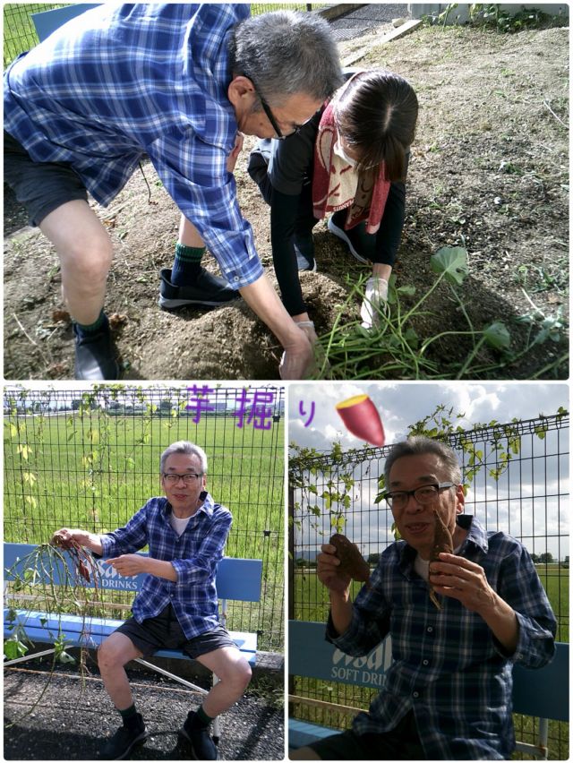 グループホームなぎさ🏠です。
いつもいいね👍ありがとうございます😊

今日は、以前より裏の畑で育てていた『芋掘り』のご様子をお伝えします☺️

お天気☀️がよかったので、畑のさつま芋🍠掘りを入居者様と一緒に行いました。
掘り起こしたさつま芋🍠をご覧になり、「大きいですな」と笑顔見られ、喜ばれていました。

「風が気持ちいいですな」と外の空気を吸い気分転換にもなられたようで、良かったです。
これから秋🍁になり美味しいものが沢山あるので、楽しみな季節になりますね。

11月の『焼き芋フェスタ』で今回収穫したサツマイモ🍠を使用します‼️
乞うご期待✨👍🍂

#グループホーム
#デイサービスセンター
#草津市
#焼き芋
#サツマイモ
#芋掘り
#笑顔
#秋