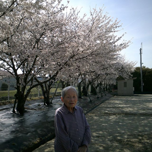 🌸お花見日和🌸

グループホームなぎさの皆様で、近隣の公園へお出かけ＆お散歩に行ってきました☀️
満開の桜がとってもきれいで、思わず見とれてしまうほど…✨

ぽかぽかの晴天の中、ゆっくり歩きながら春を感じる時間🌷
「きれいやね〜」「気持ちいいね」と、自然と笑顔があふれていました😊

季節を感じるお出かけは、やっぱりいいですね🌸
またみんなで行きましょう🎶

#グループホームなぎさ #お花見 #桜満開 #春のお出かけ #散歩日和 #晴天 #季節を感じる #笑顔の時間