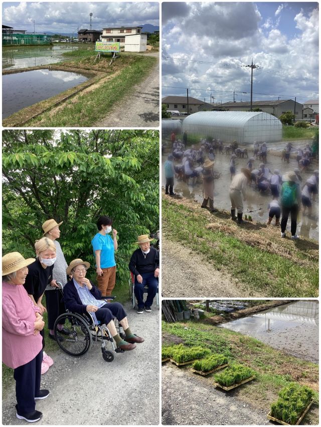 グループホームなぎさです。🏠

先日地域の小学生のみなさんによる田植え体験の様子を、ご利用者様と一緒に見学させていただきました🌱
泥の感触に驚きながら、一生懸命苗を植える子どもたち👦の姿に、ご利用者様からも「上手やなぁ」「懐かしいなぁ」と笑顔😊がたくさん見られました😊
昔の田植えの思い出話にも花が咲き、世代を超えた温かな交流の時間となりました。

秋には立派なお米になりますように🌾

#田植え体験
#地域交流
#グループホーム
#デイサービス
#田んぼのある風景
季節を感じる
世代間交流
地域とのつながり