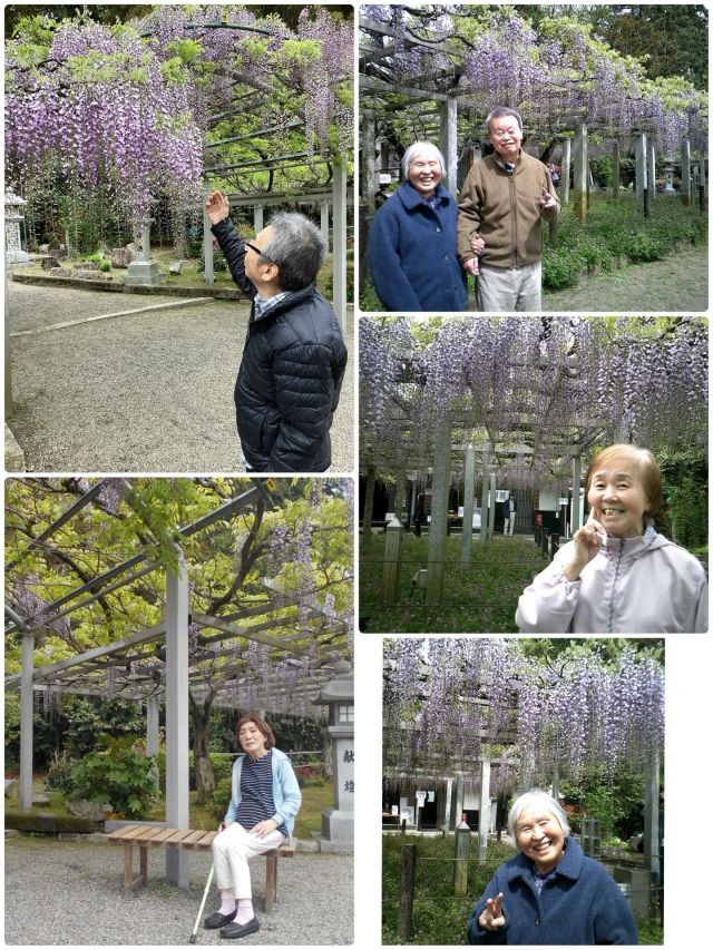 グループホームなぎさです♪
🌿🌸お出かけ日和に、藤の花を見に行ってきました🌸🌿

入居者の皆さまと一緒に、三大神社へお出かけしました。
境内いっぱいに広がる藤の花がちょうど見頃で、やさしい紫色とほのかな香りに包まれながら、
ゆったりとした時間を過ごしました✨

「きれいやね」「ええ香りやなあ」と、自然と笑顔や会話も広がり、春のひとときを満喫🌷
外の空気に触れ、季節を感じることで、心も体もリフレッシュできたご様子でした😊

これからも、季節を感じられるお出かけを大切にしていきたいと思います🌼

#グループホーム #お出かけ #藤の花 #三大神社 #春の風景 季節を感じる 笑顔の時間 外出支援