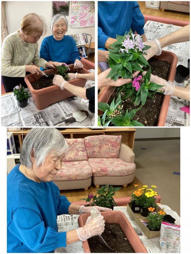 グループホームなぎさです。🏠

今日は利用者さんと一緒に、ベランダに飾る花植えをしました🌼
色鮮やかな『ペンタス』、ふんわり可愛い『サフィニアフリル🩷』、元気いっぱいの『マリーゴールド✨』
「この色きれいだね」「私みたい」と会話も弾み、笑顔がこぼれる時間になりました😊

みんなで植えたお花たちが、これからベランダを明るく彩ってくれそうです🌿🌸

#花植え #ベランダガーデン #ペンタス #サフィニアフリル #マリーゴールド 
季節を楽しむ 利用者さんとの時間 園芸活動 笑顔の時間 福祉施設 日常のひとコマ